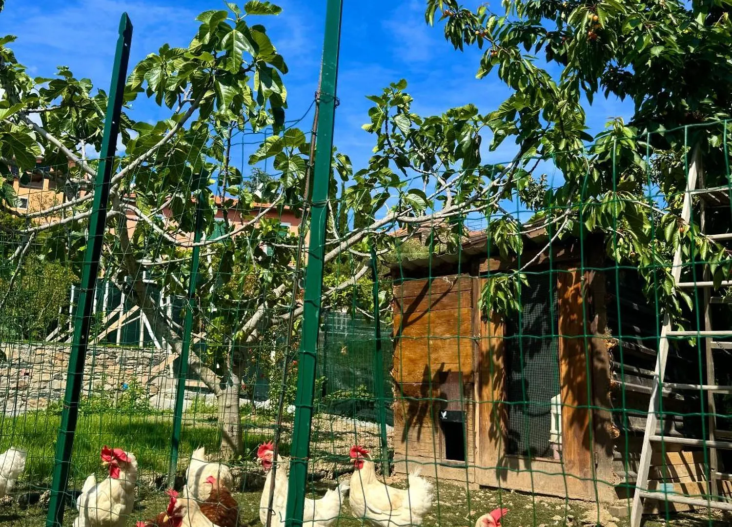 Ligo Bed & Breakfast Albenga