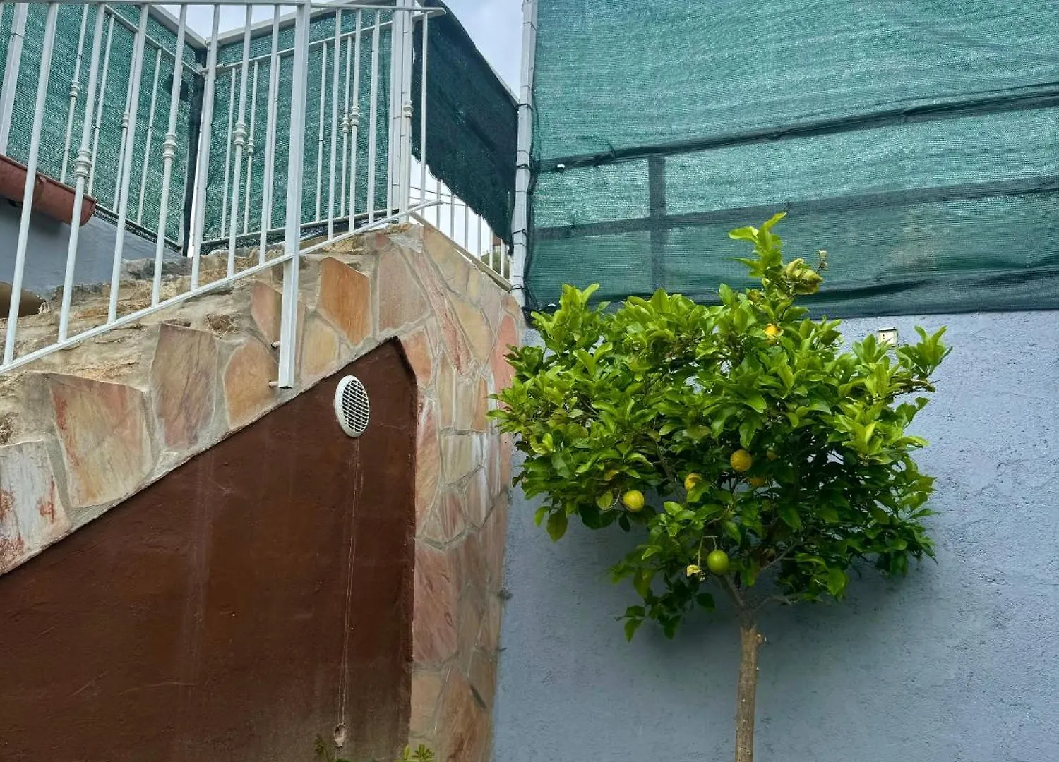 Ligo Bed & Breakfast Albenga Italy